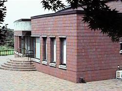 ���݂���p��