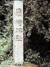 �T���Ռ���